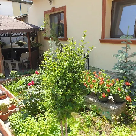 Kogalniceanu House Tatil Evi Köstence